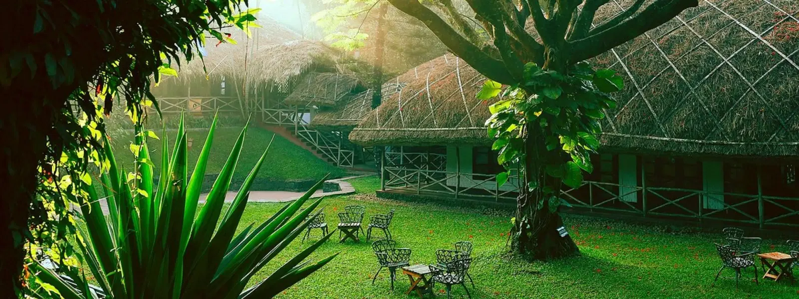 The Ultimate Checklist for Thekkady Eco-Friendly Farm Stays