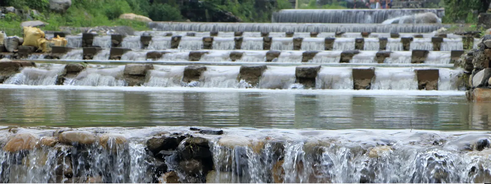 Top 10 Must-Visit Places in Dehradun: Ultimate Travel Guide