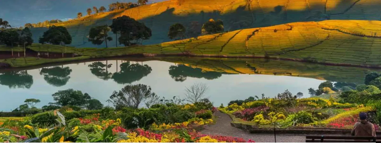 Top 10 Must-Visit Places in Ooty for a 3-Day Trip