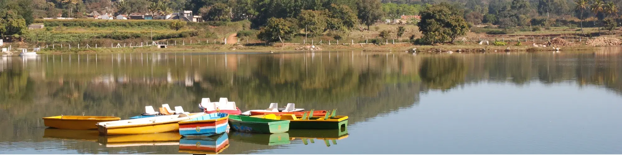 Top 10 Must-Visit Places in Yelagiri Hills for All Travelers