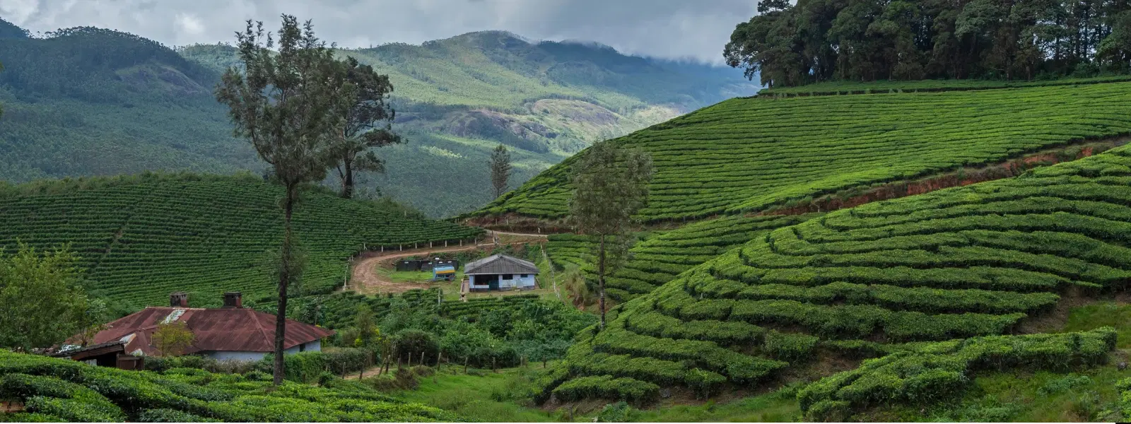Top 6 Monsoon Destinations in India to Visit This Season