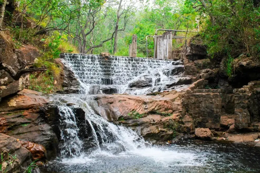 Top 7 Places to Visit in Pachmarhi: A 2-Day Travel Guide