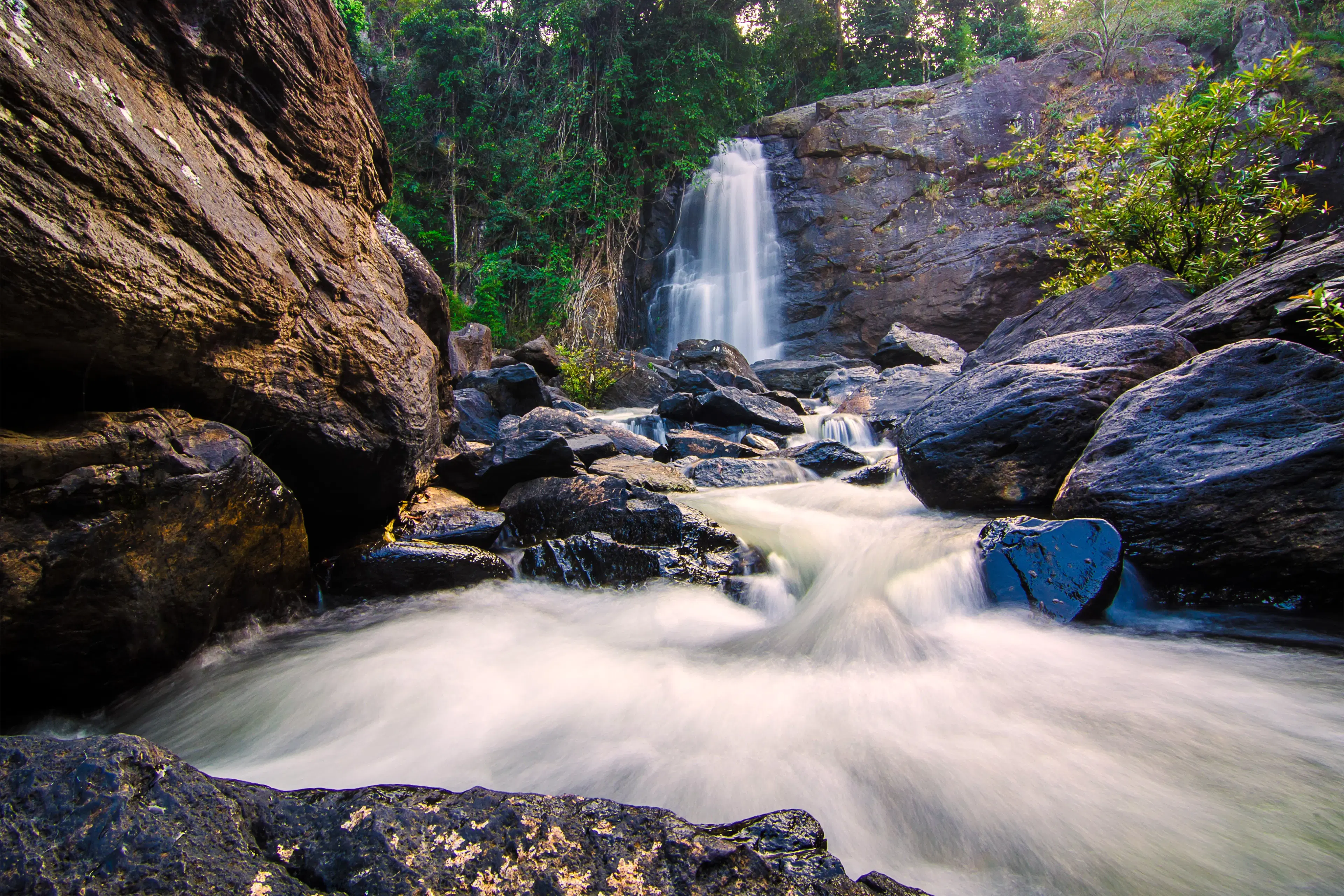 Top 8 Places to Visit in Wayanad: 2-Day Travel Guide