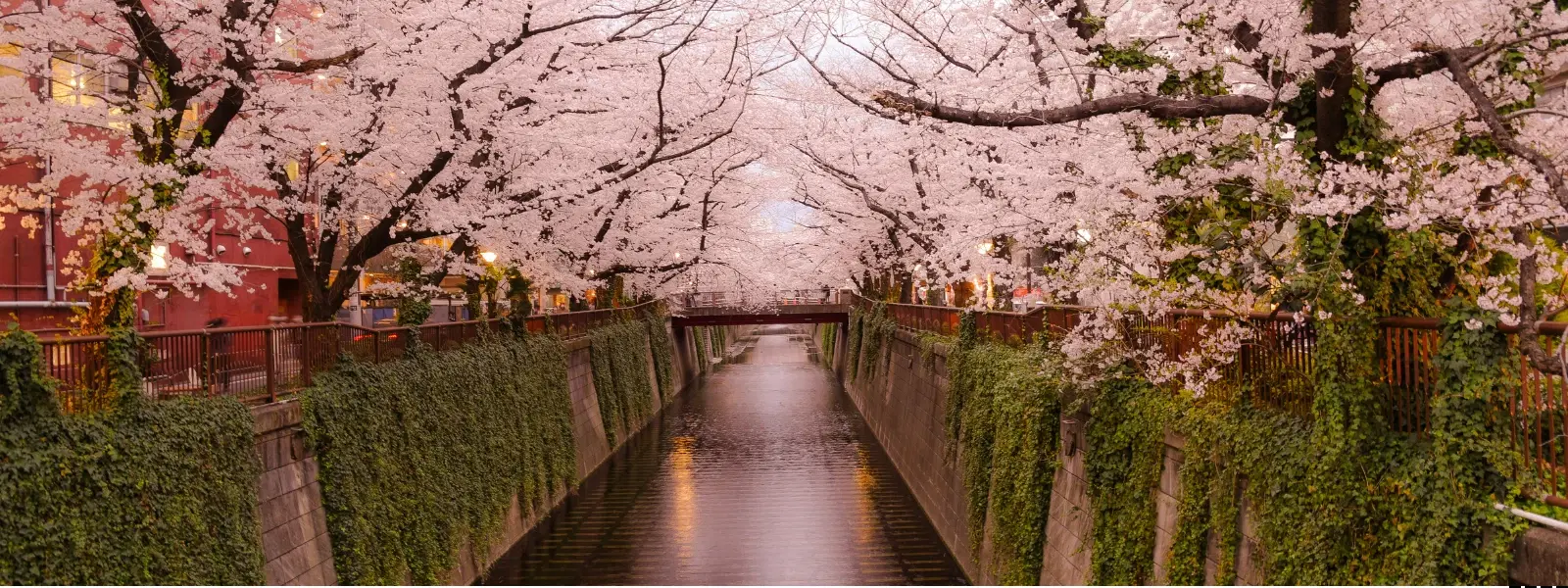 Ultimate Japan Travel Itinerary Checklist for Beginners