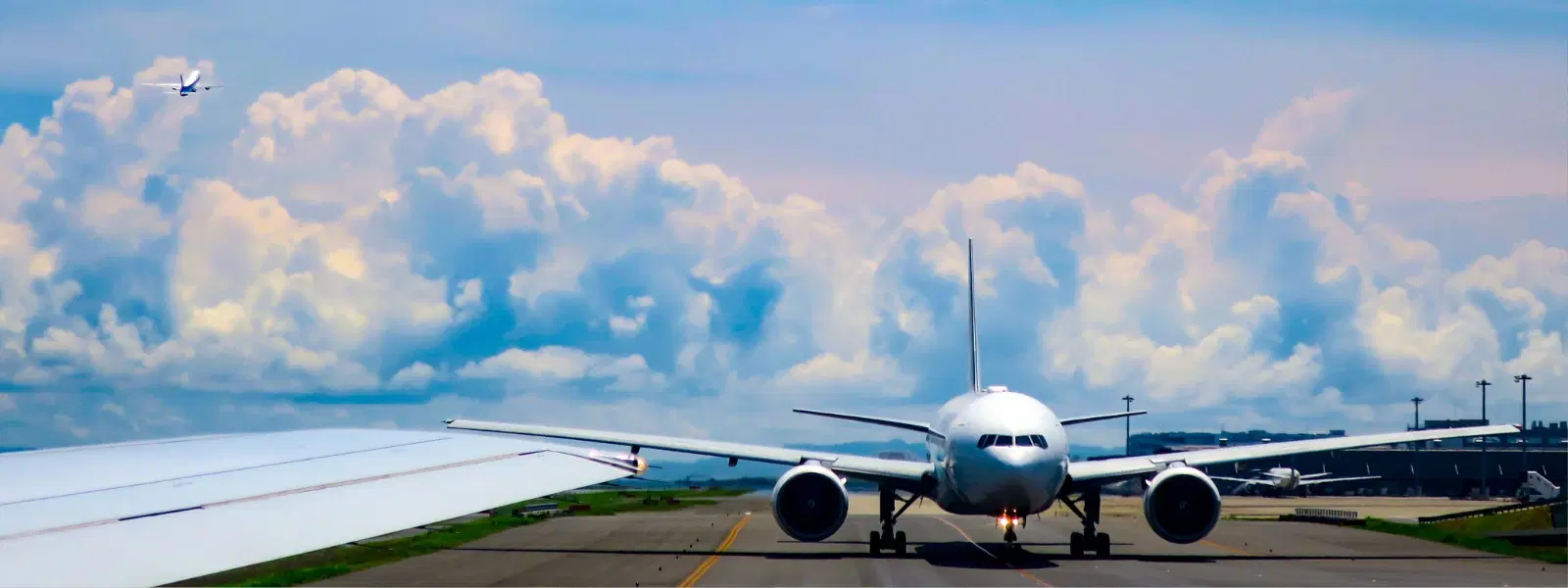 Unlocking the Power of Frequent Flyer Numbers: Insights