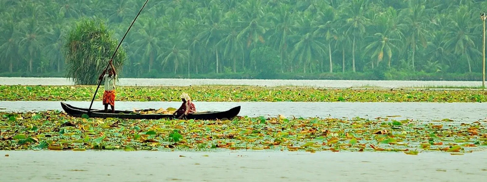 Unveiling Hidden Places in Trivandrum: Expert Insights
