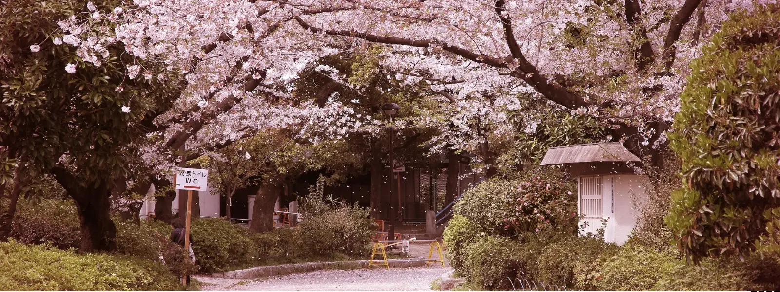 Your Ultimate Checklist for Japan in July Adventures